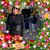 Coleen-Ann Mulhern's profile image