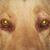 Rene' Hessler's profile image