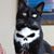 Darsi Arwood's profile image
