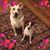 Fran Smith's profile image