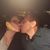 Sharon Heath-Medina's profile image