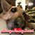 Lazara Sanchez Gill's profile image