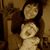 Jamie Wojcik's profile image