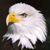 Dean Brockway's profile image