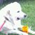 Sherri Macer Clevenger's profile image