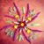 Patti Coffey's profile image