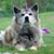 Sandra Hensley's profile image