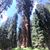 Heather Thompson Withers's profile image