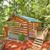 Mi Cabana Cabin Rental's profile image