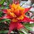 Linda Jowers's profile image