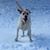 Sue C Wolcott's profile image