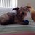 MaryEllen Brandt Brown's profile image