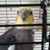Gina Viers's profile image