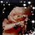 Ana Nieves's profile image