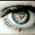 Lynn Tosh's profile image
