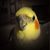 Nadine Lee's profile image