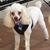 Carlos Ramirez's profile image