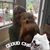 Sandy Porco's profile image