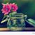 Kathy Ciszczon's profile image