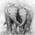 Maria Angeles Garcia's profile image