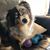 Sue Edwards Sumner's profile image