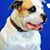Lori Green-Barnett's profile image