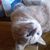 Cindy Gilbert's profile image