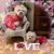 Patricia Diamond Krystal Sievers's profile image