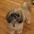 Teddy Laszewski's profile image