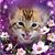 Olive Jewel Lee's profile image