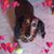 Linda Pepper's profile image