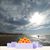 Debra Rose Heimke's profile image