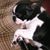 Reina Marroquin's profile image