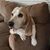 Sally Hoague's profile image