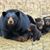 Patti Bobrowski's profile image