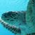 Kristy Shelner's profile image
