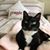Lisa Culverwell's profile image