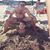 Maria Connie Angelone's profile image