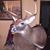 Joel Kiehl III's profile image