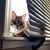 Julie Wroblewski Sexton's profile image