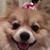 Liza Poblete's profile image