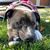 Carla S Pursel's profile image