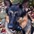 Grace Bologna Phillips's profile image