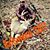 Jason Anthony Mcclelland's profile image
