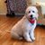 Carrie Staker-Jones's profile image