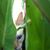 Julie Weirton's profile image