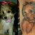 Dru Giba's profile image