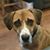 Tracy B Alsobrooks's profile image