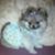 Tammy Mabe's profile image