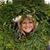 Lisa Marie Huested's profile image